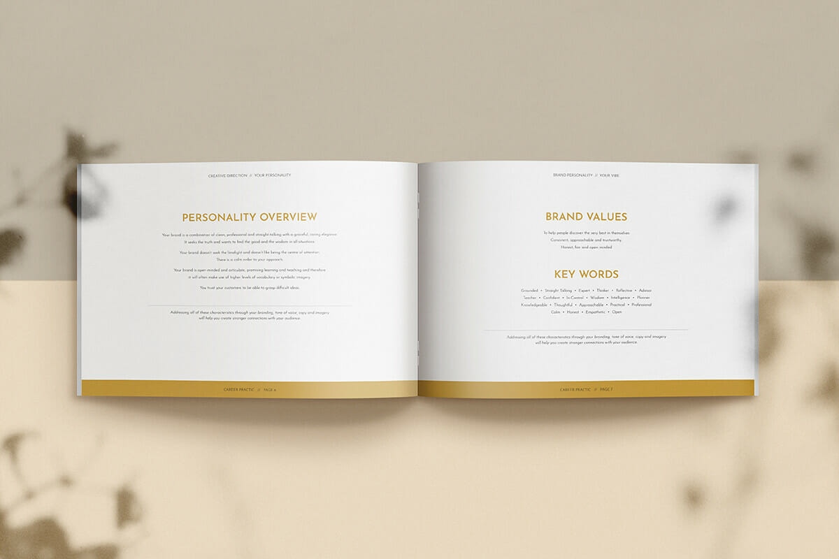 Career Practic brand identity and brand values