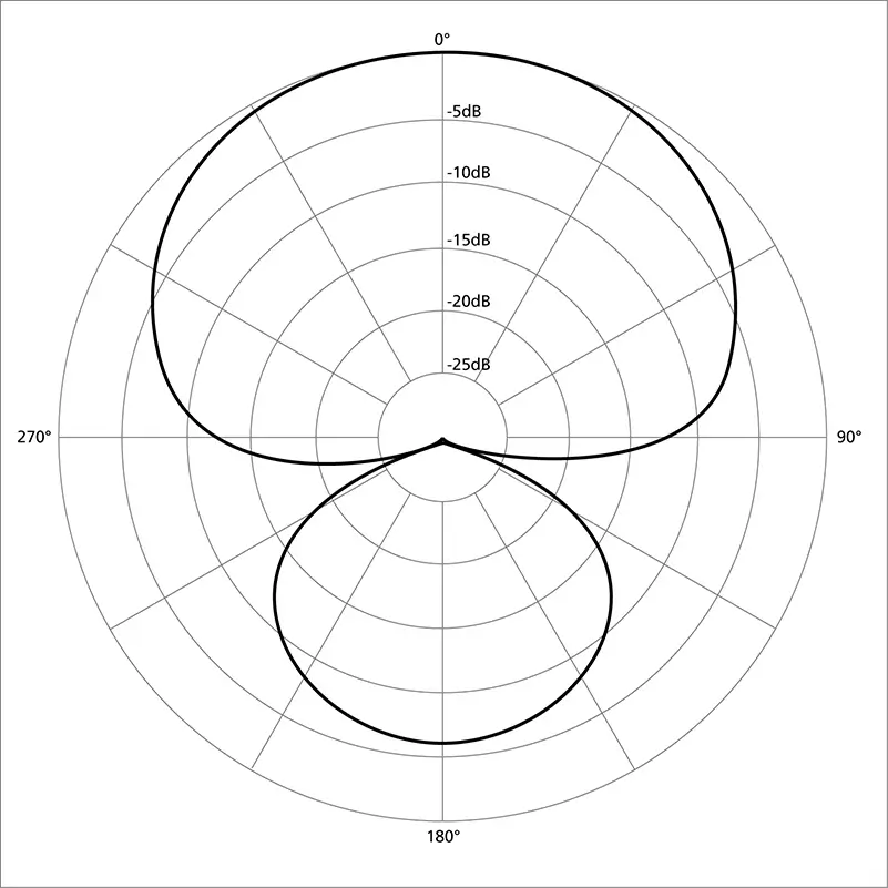 hypercardioid microphone
